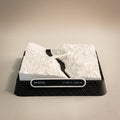 Bristol Clifton 3D printed city map · 9×9cm relief model · 51.455° N · 2.628° W